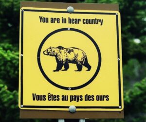 Schild You are in bear Country