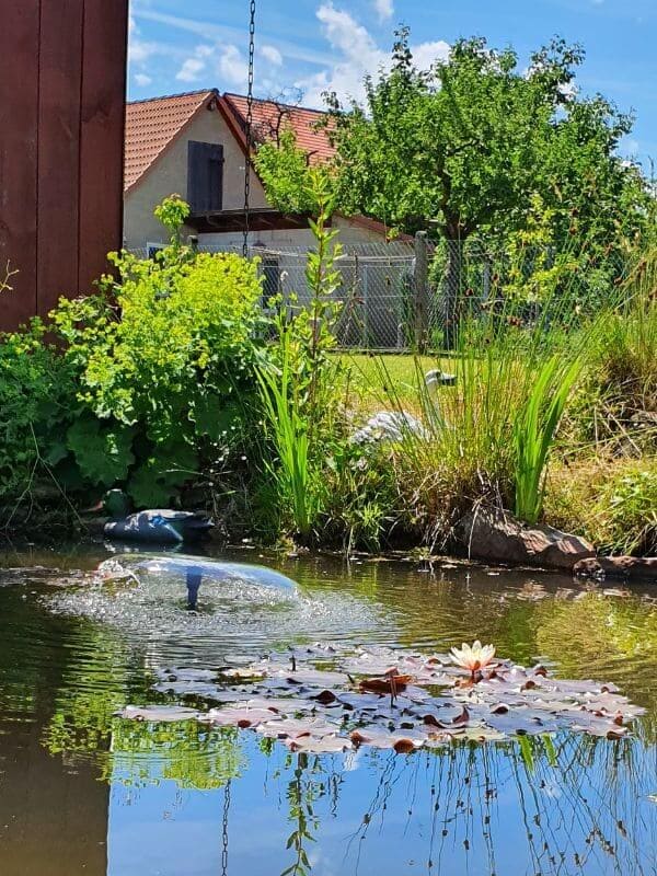 Entspannen im Garten