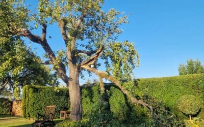 12 von 12 im August 2025 – Wenn die Last zu schwer wird