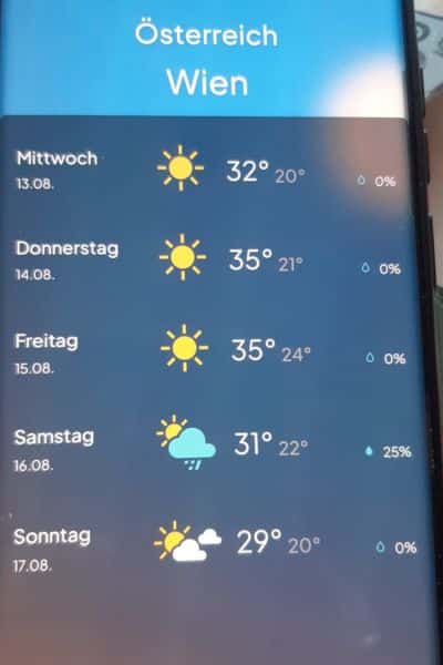 Jahresrückblick 2025